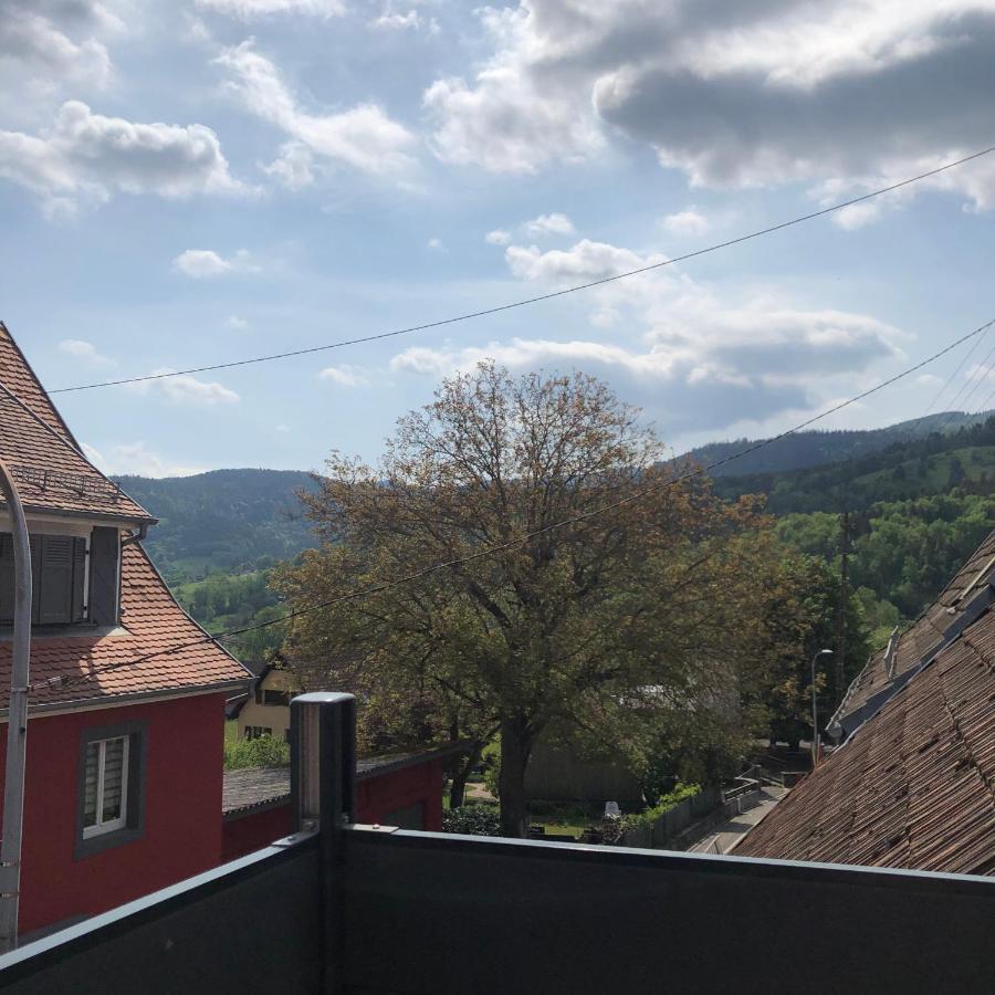 Appartement Vintage A L Ancienne Forge Muhlbach-sur-Munster Exterior photo